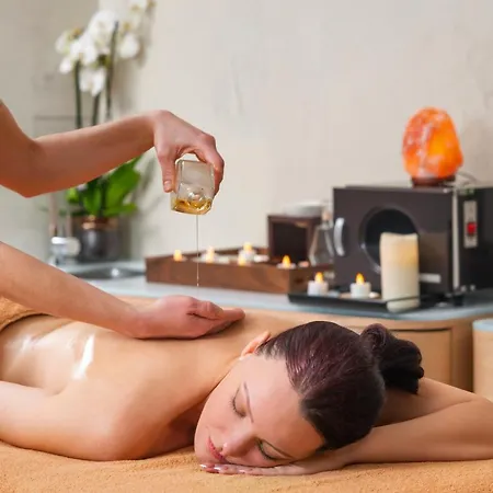 Hyatt Regency فندق